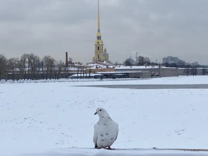 «Петропавловка» — начало всех начал