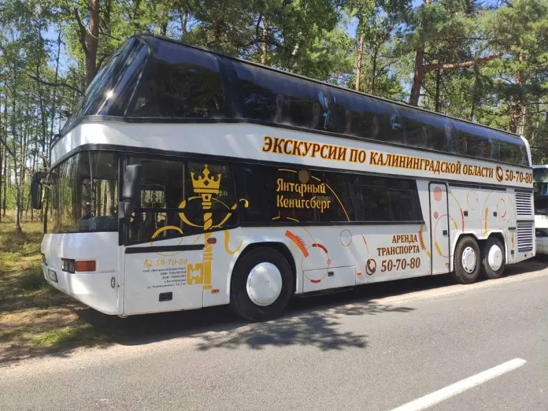 На двухэтажном автобусе — по Калининграду (с дегустацией марципана)