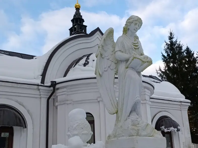 Прусские воительницы и великие полководцы 19 века