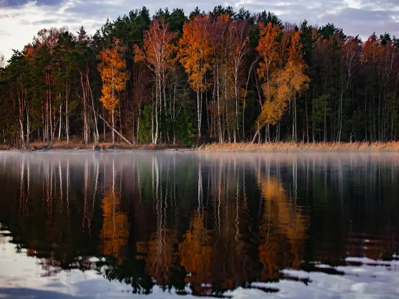 Замок Инстербург и Роминтская пуща. Фотопутешествие во времени