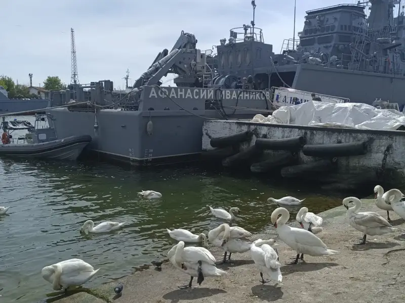 Балтийское побережье — в поисках сокровищ