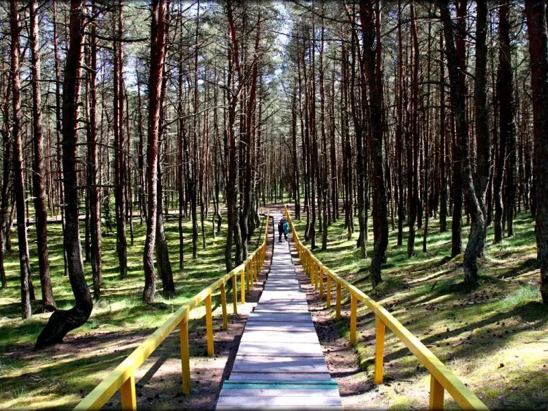 Балтийская сказка: Куршская коса, Зеленоградск и рыцарские замки