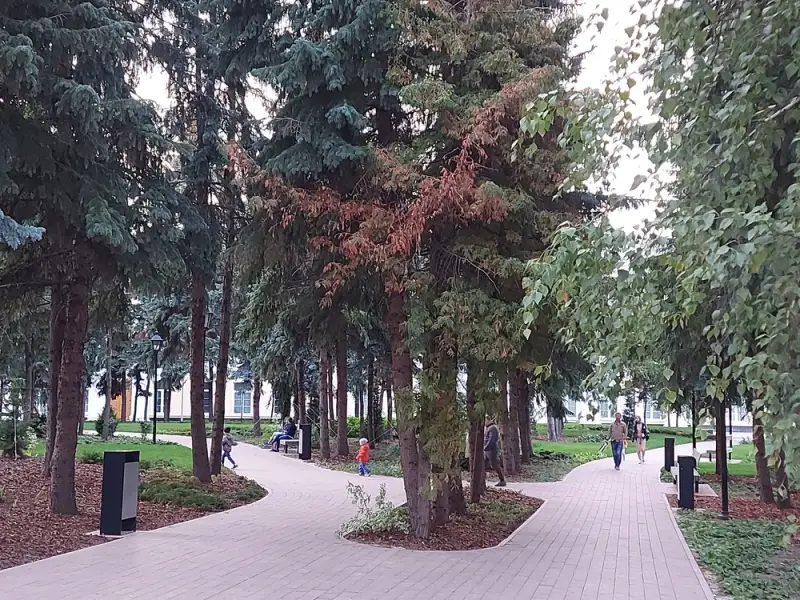 Обзорная экскурсия по Нижнему Новгороду на автобусе