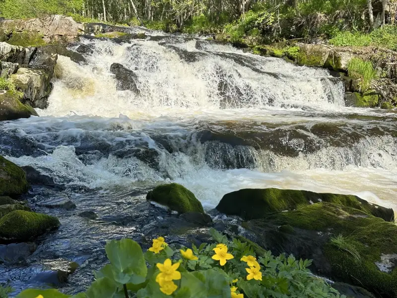 Стихия воды Кольского полуострова