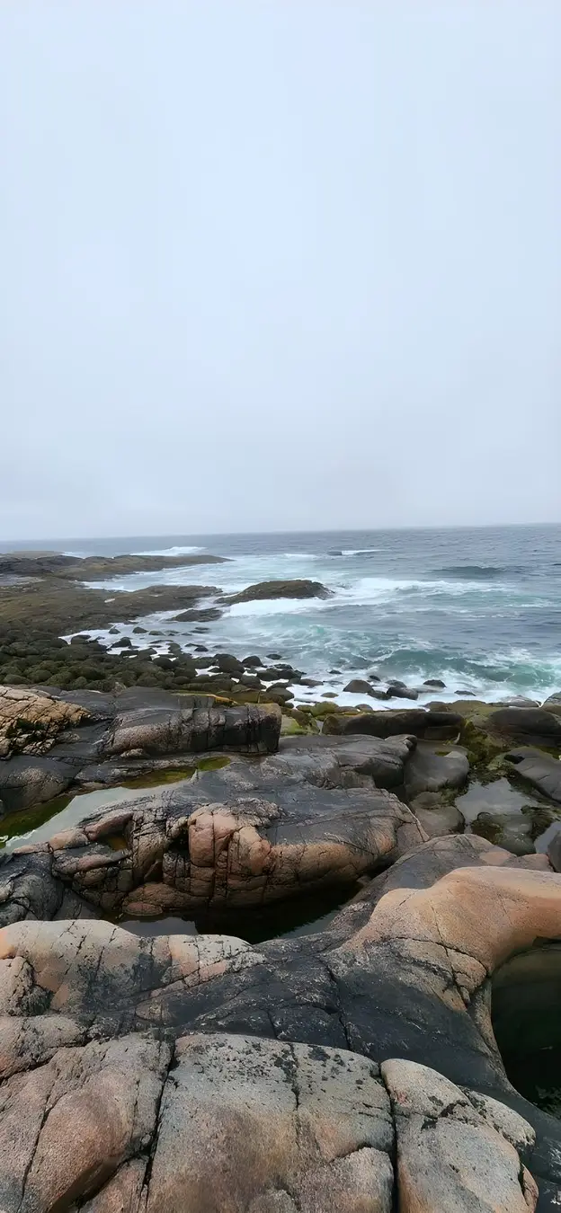 Из Мурманска в Териберку — посёлок на краю земли