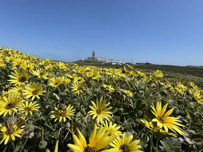Край земли — на электрокаре из Лиссабона к Мысу Рока