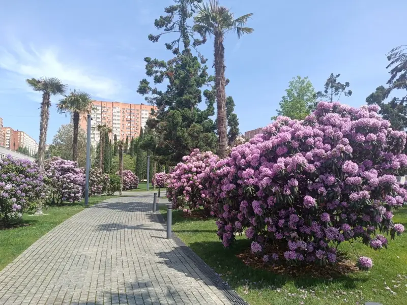 Прогулка по парку Галицкого в Краснодаре