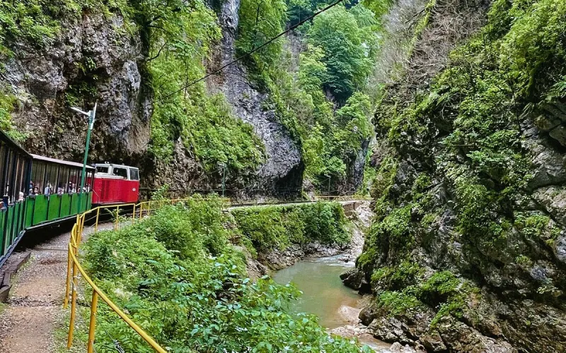 Гуамское ущелье + термальные источники