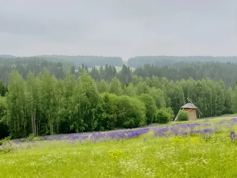Деревянное наследие Прикамья: из Перми — в музей «Хохловка»