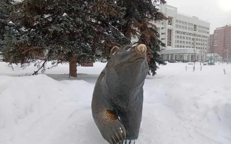 Знакомьтесь, Пермь!