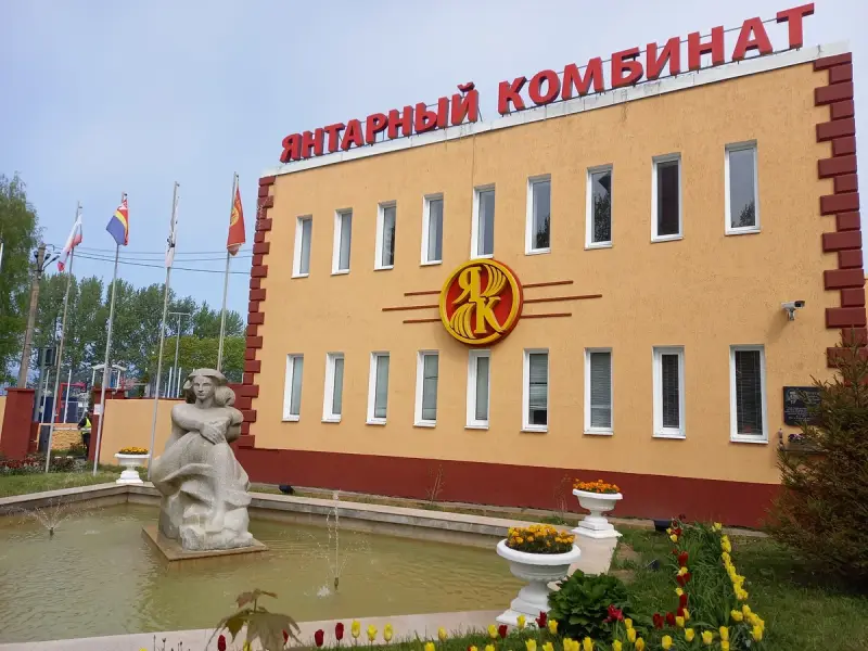 Из Светлогорска в Янтарный: кладовые солнца