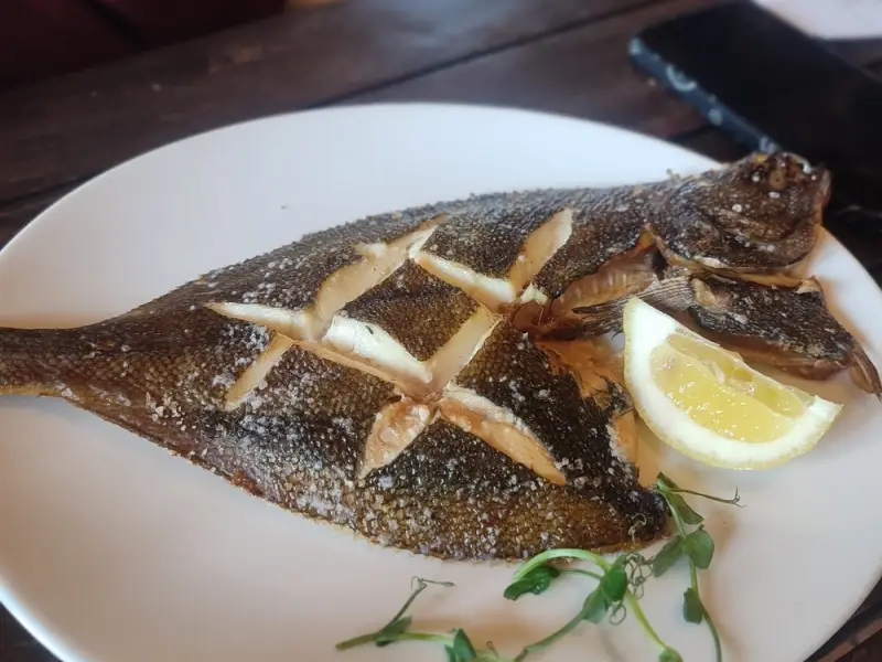 Куршская коса вдоль и поперёк (из Светлогорска)