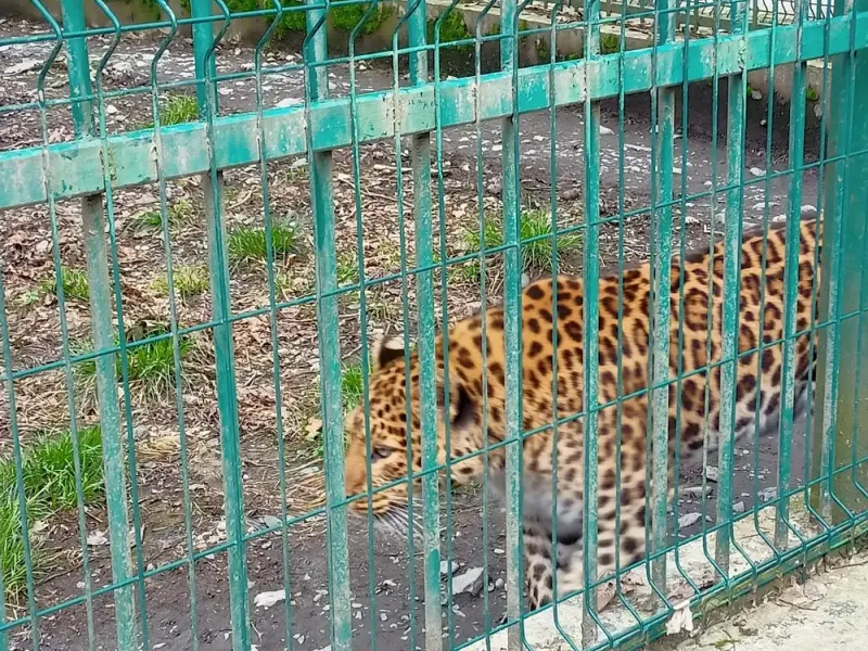 Экоцентр «Лаура» — знакомство с природой Кавказа